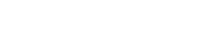 websonica logo bianco